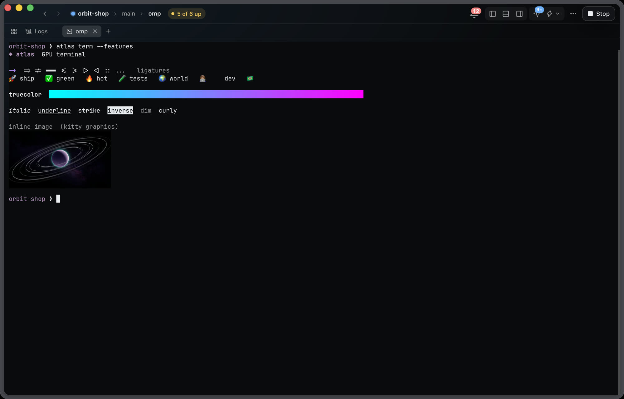 A terminal tab in Atlas Desktop